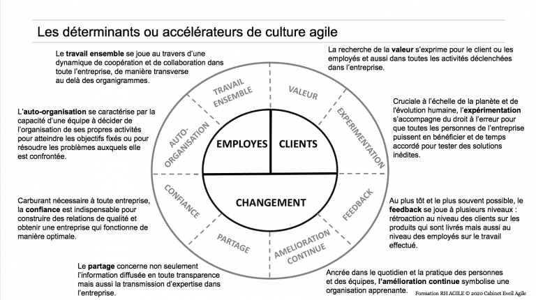 agile culture