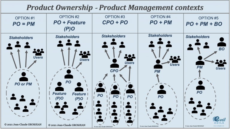 product owner vs product ownership