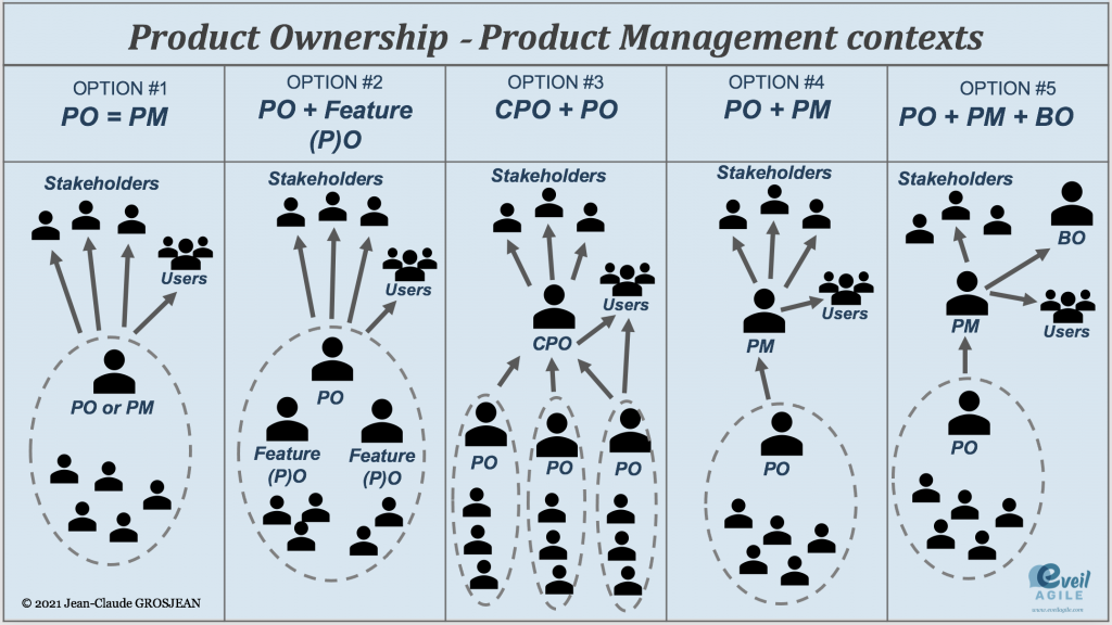 product owner vs product ownership