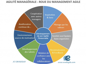 Agilité Manageriale - Roue du Management Agile